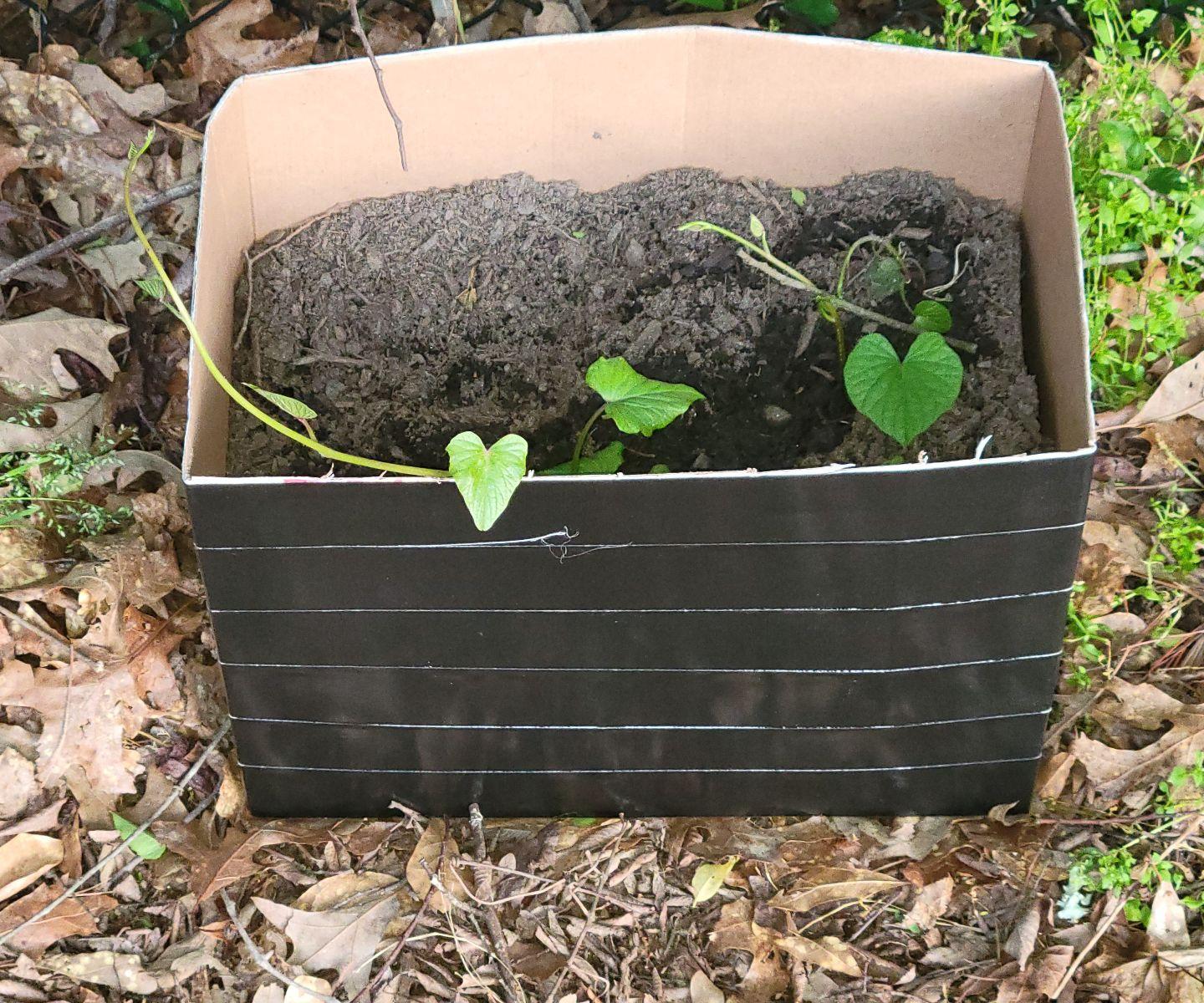 Upcycled Duct Tape Cardboard Planter