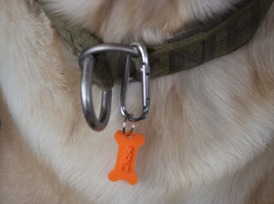 DIY Dog Nametag