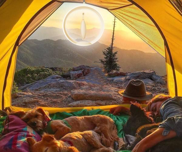 Magical Magnetic Levitation Toothbrush With Light