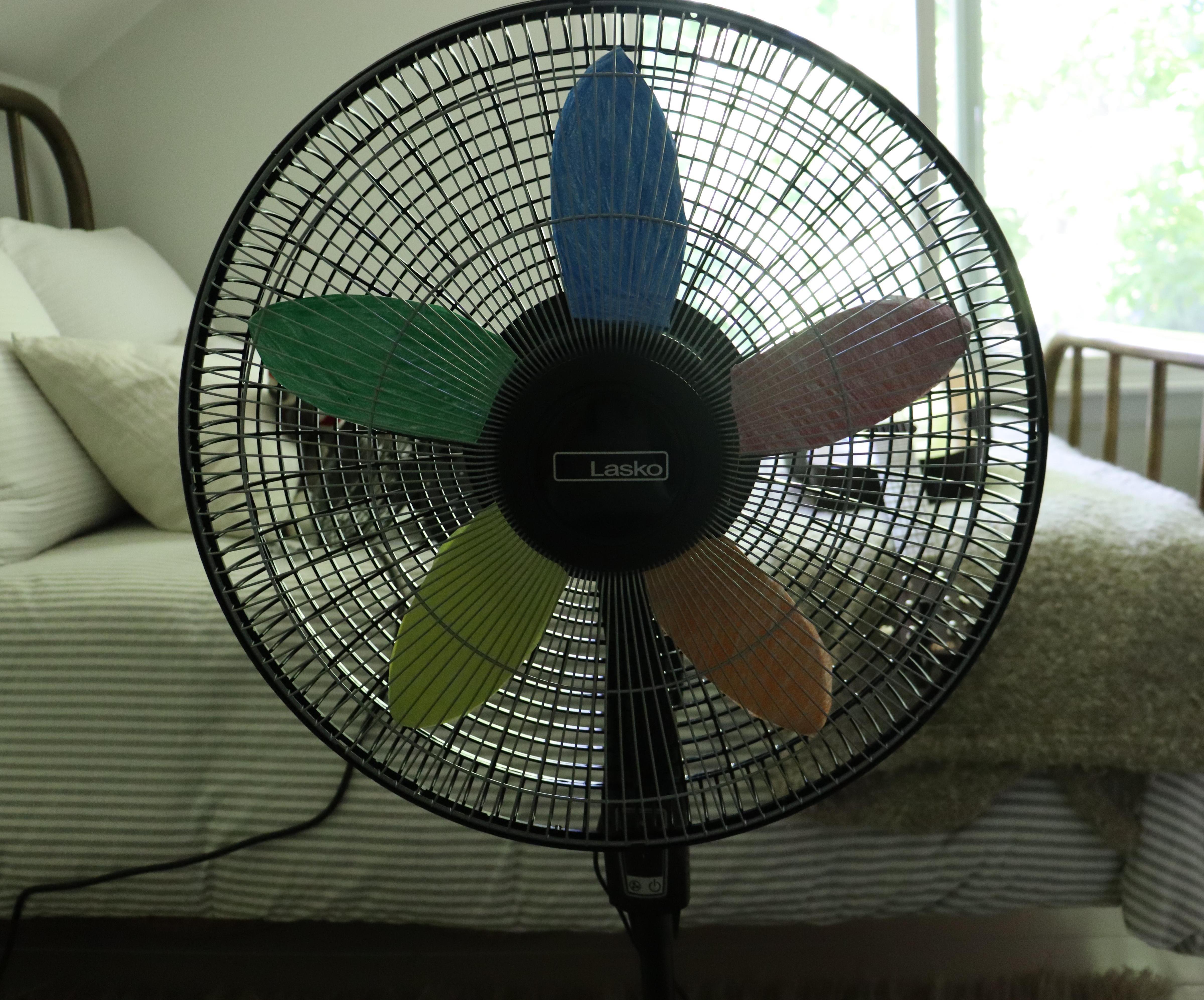 The Rainbow Fan