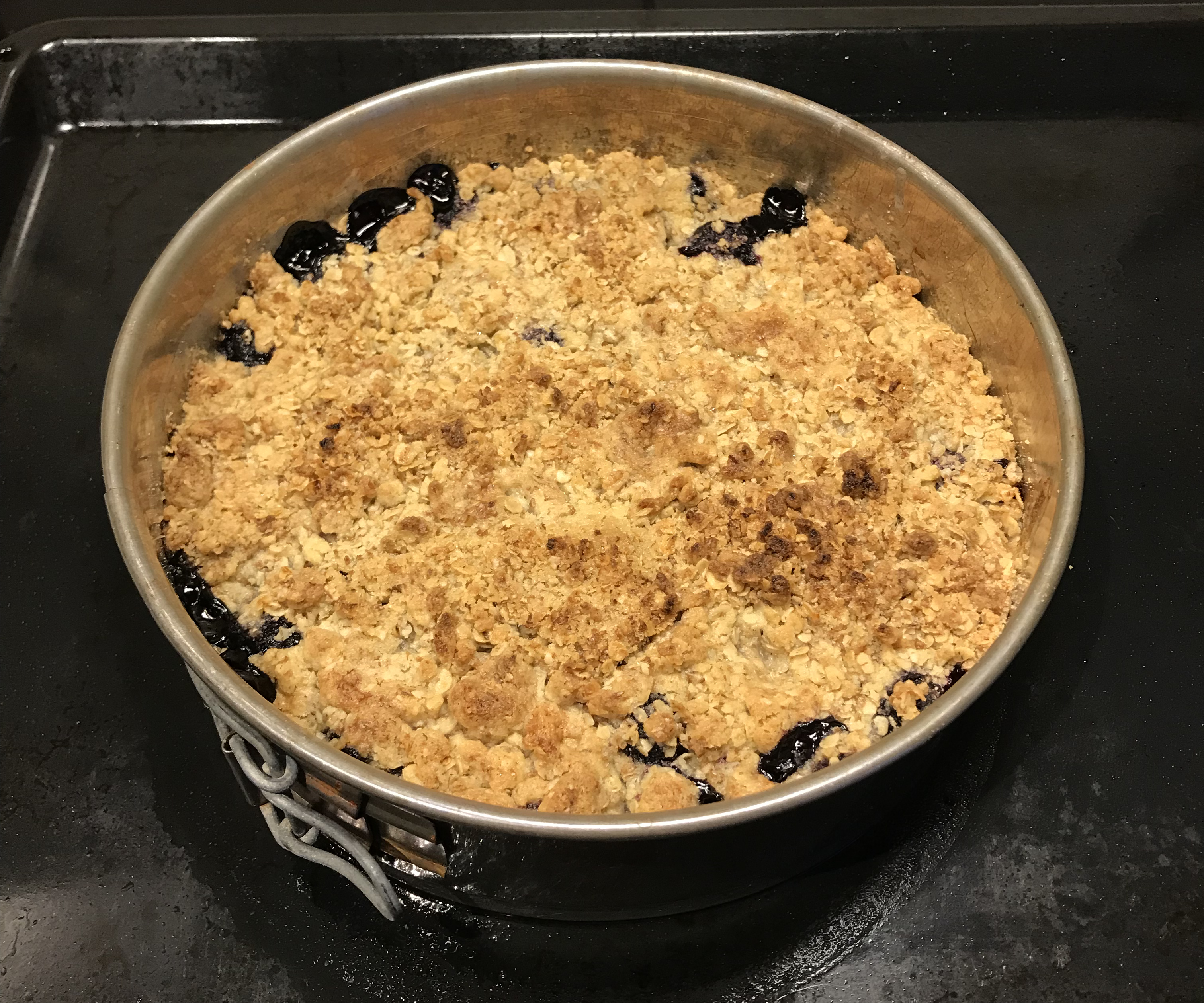 Mathematically Correct Blueberry Crumble Pie