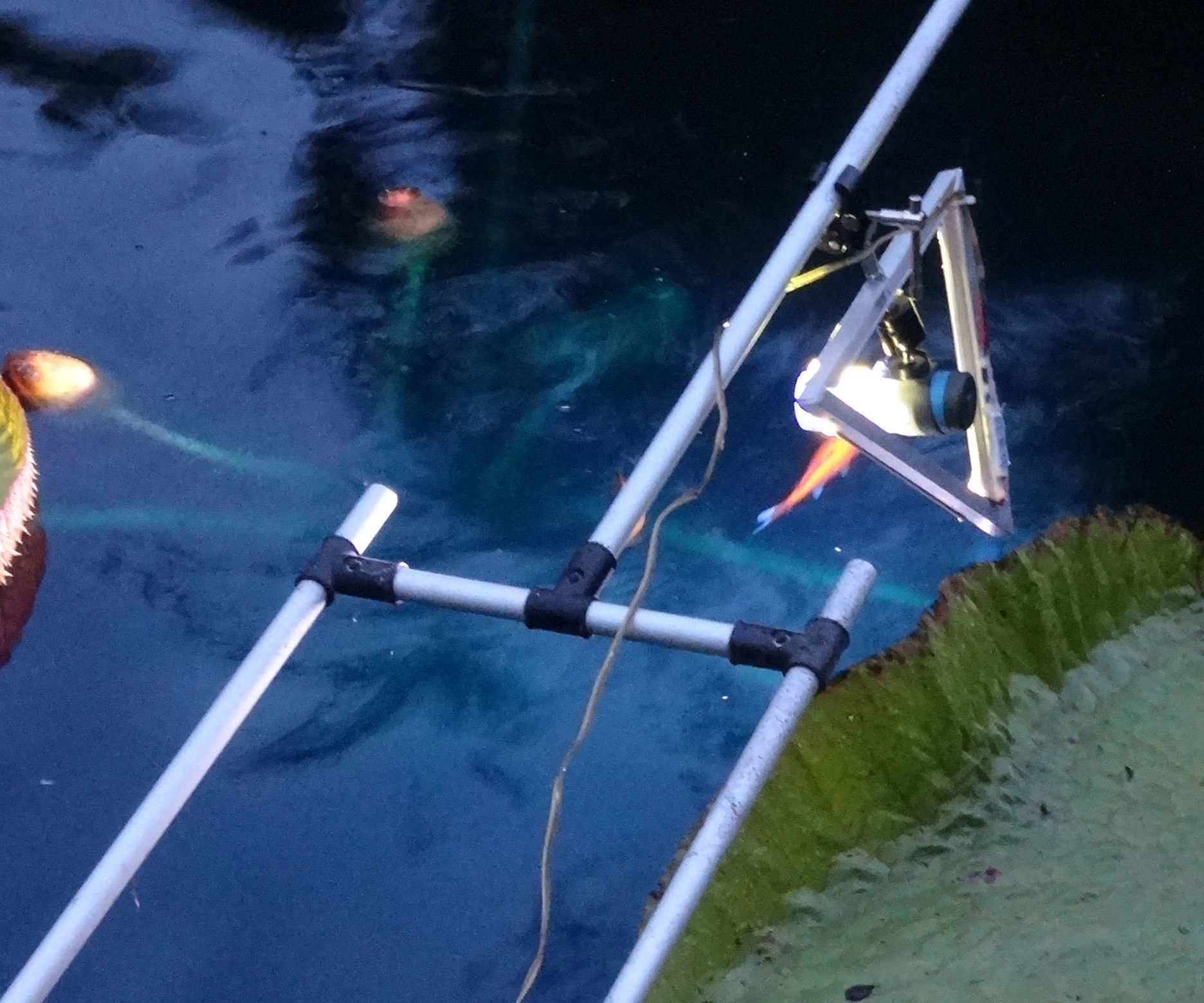 Large LED "ring" Light for Timelapse, Portraits and More...