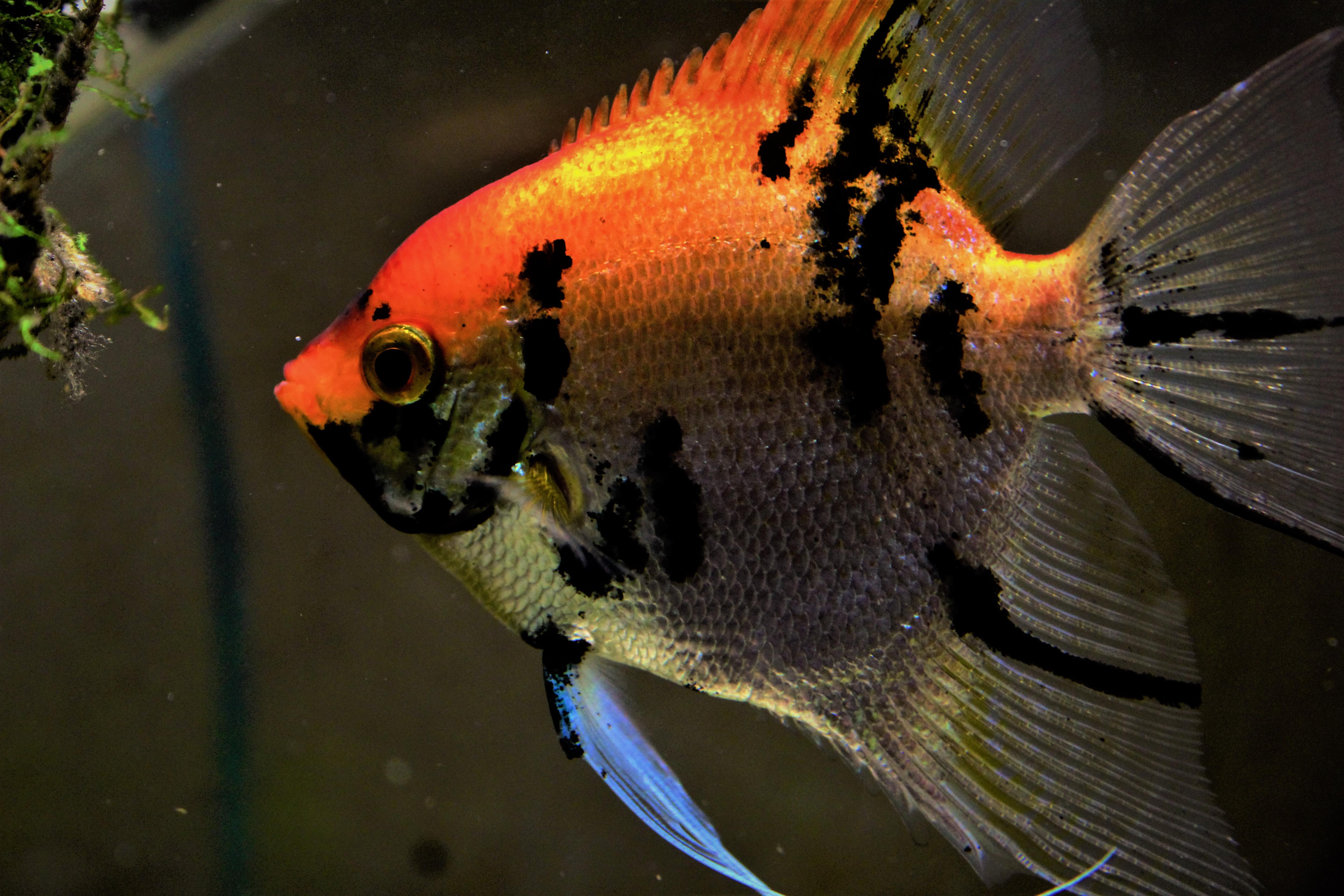 Edit Photos With Software You Already Have