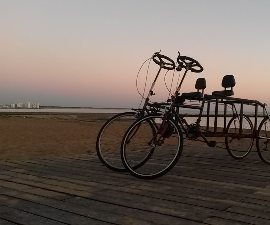 Bike Car One or Two Place 