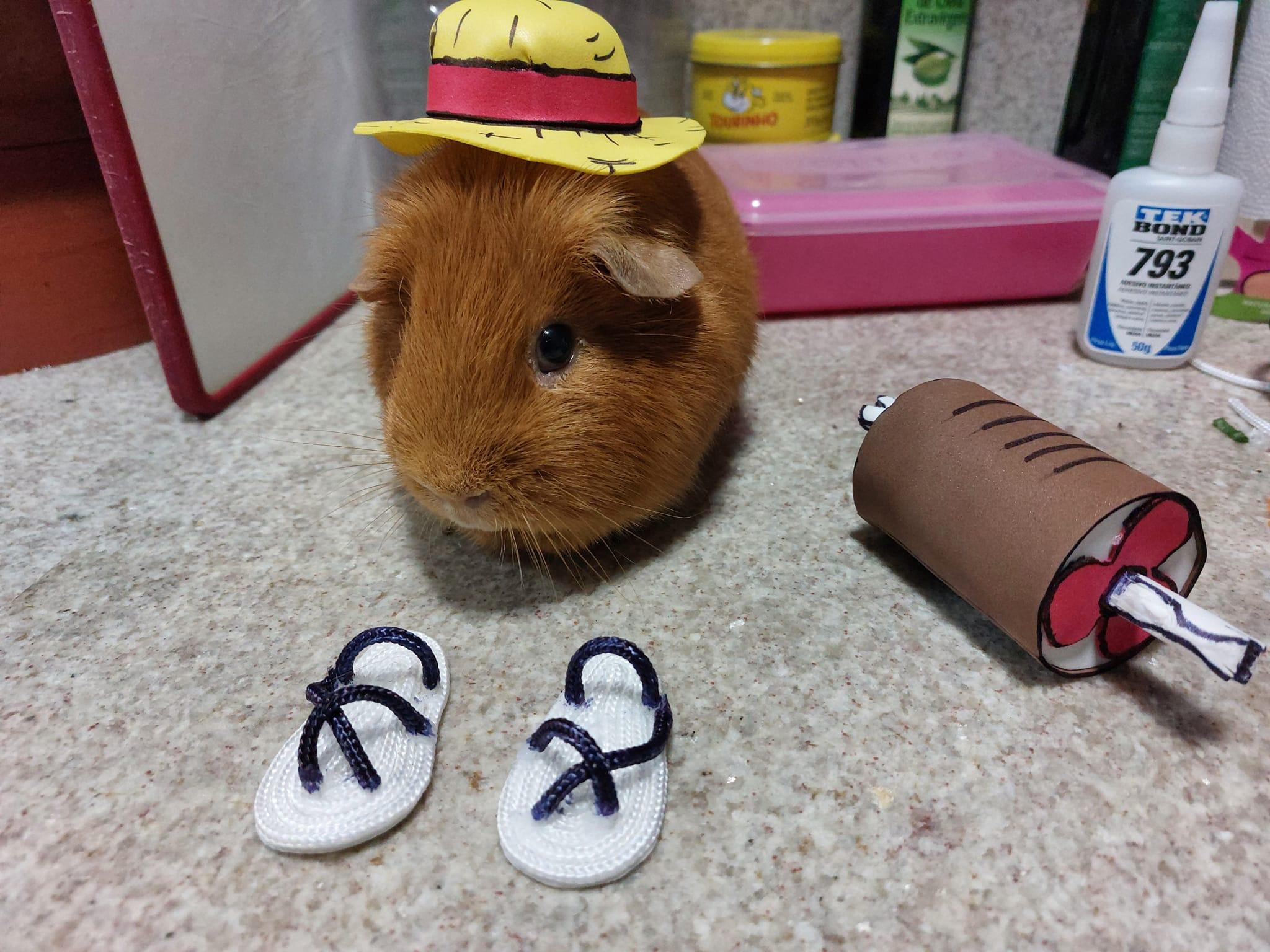 One Piece Luffy's Costume