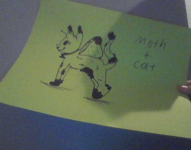 How to Make Your Own Animal Species!