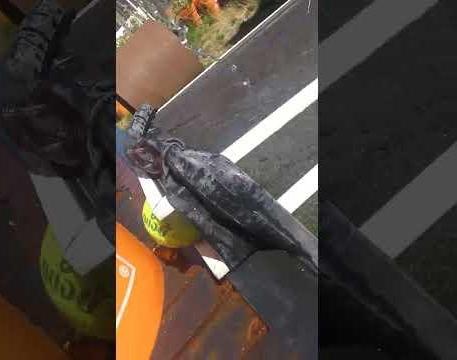 )'( Greywater Evaporation and Management at Burning Man