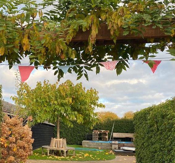 Hang Garlands Without Drilling