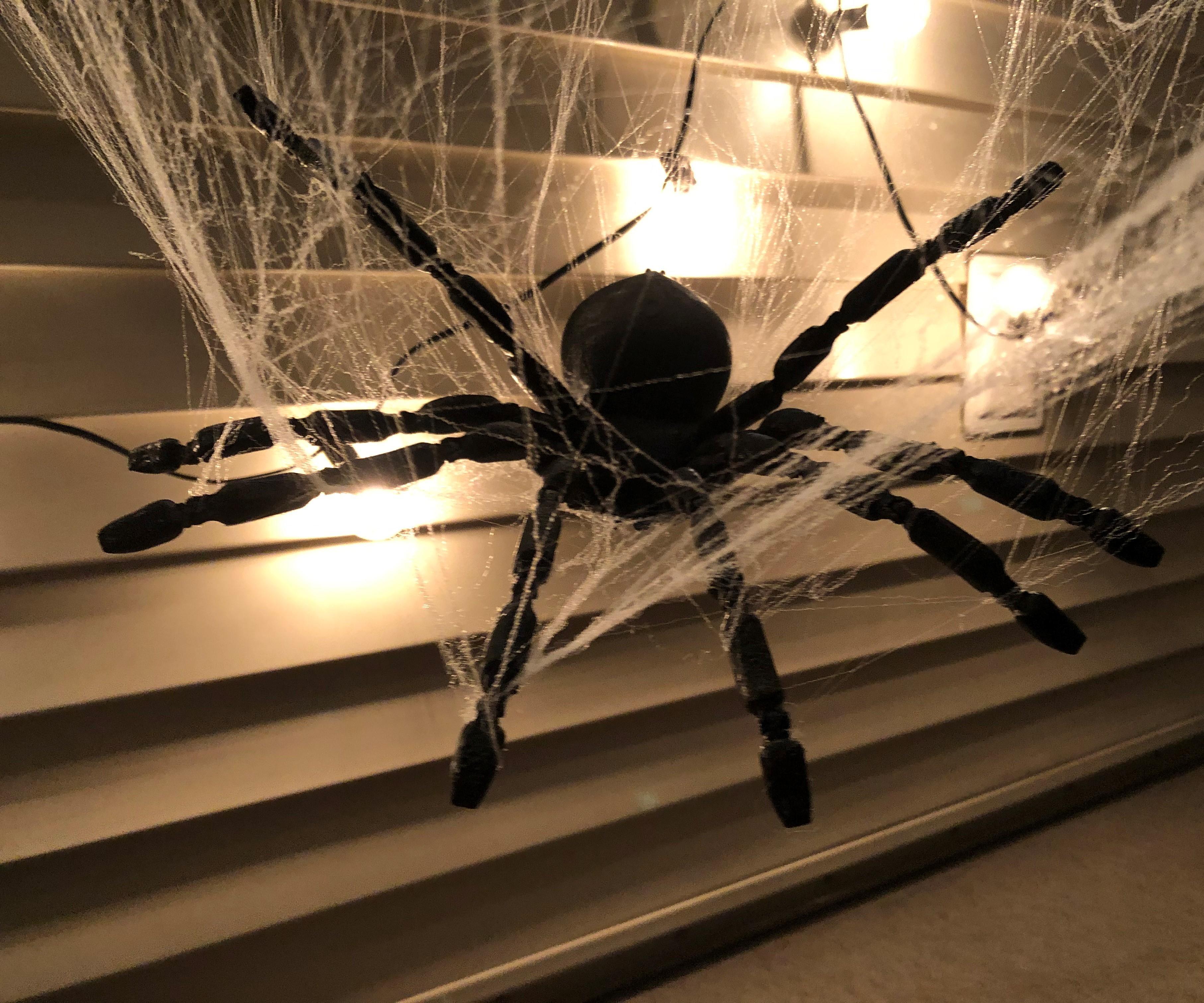 3D Printed Spider