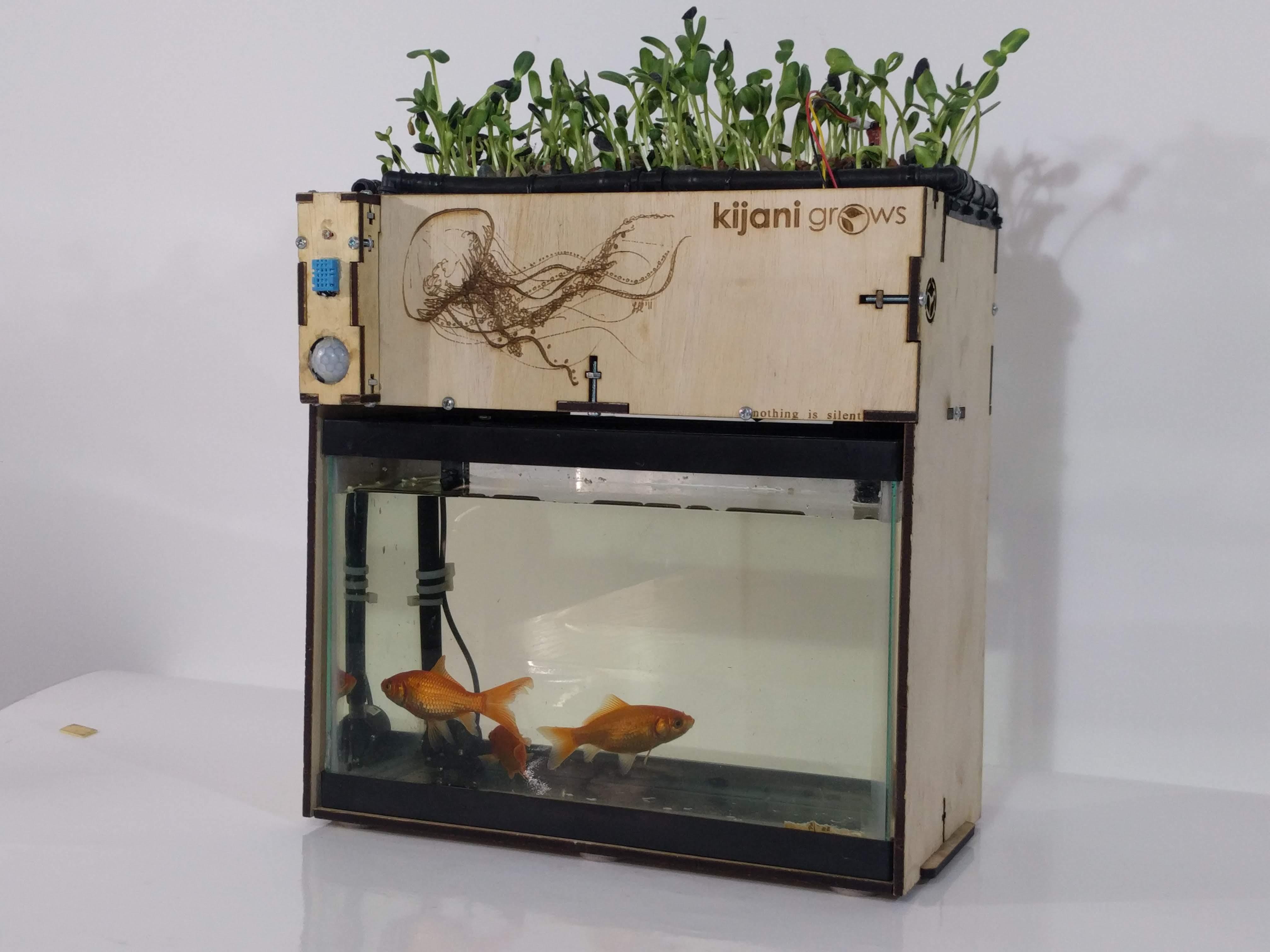 How to Build an IoT Based Smart Aquaponics Educational Garden