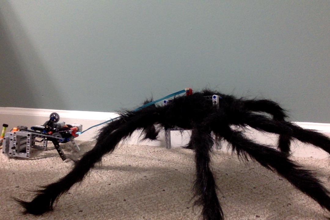 Jumping Spider for Halloween