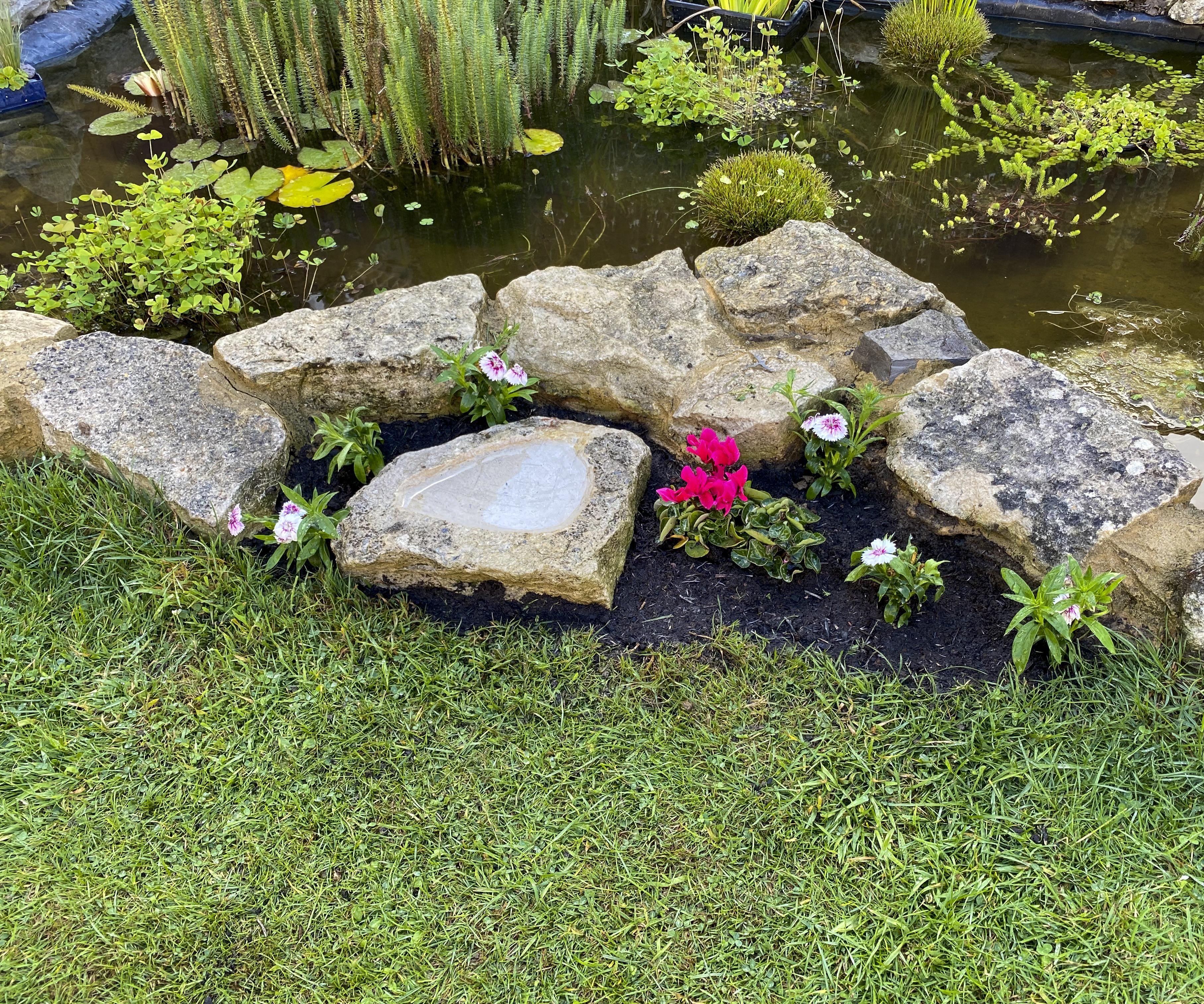 Beautiful Natural Bird Bath