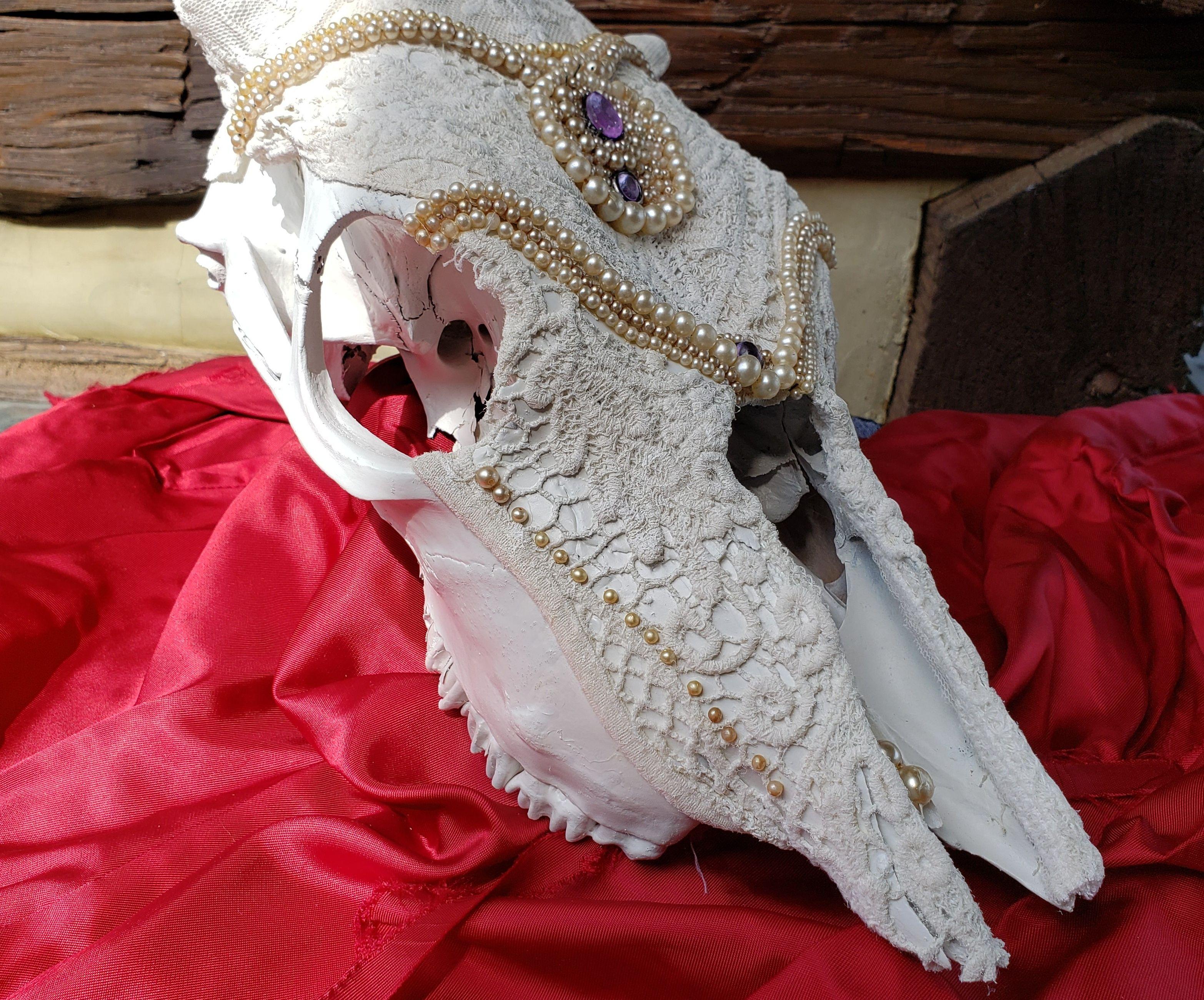 Old Pearl and Lace Calf Skull