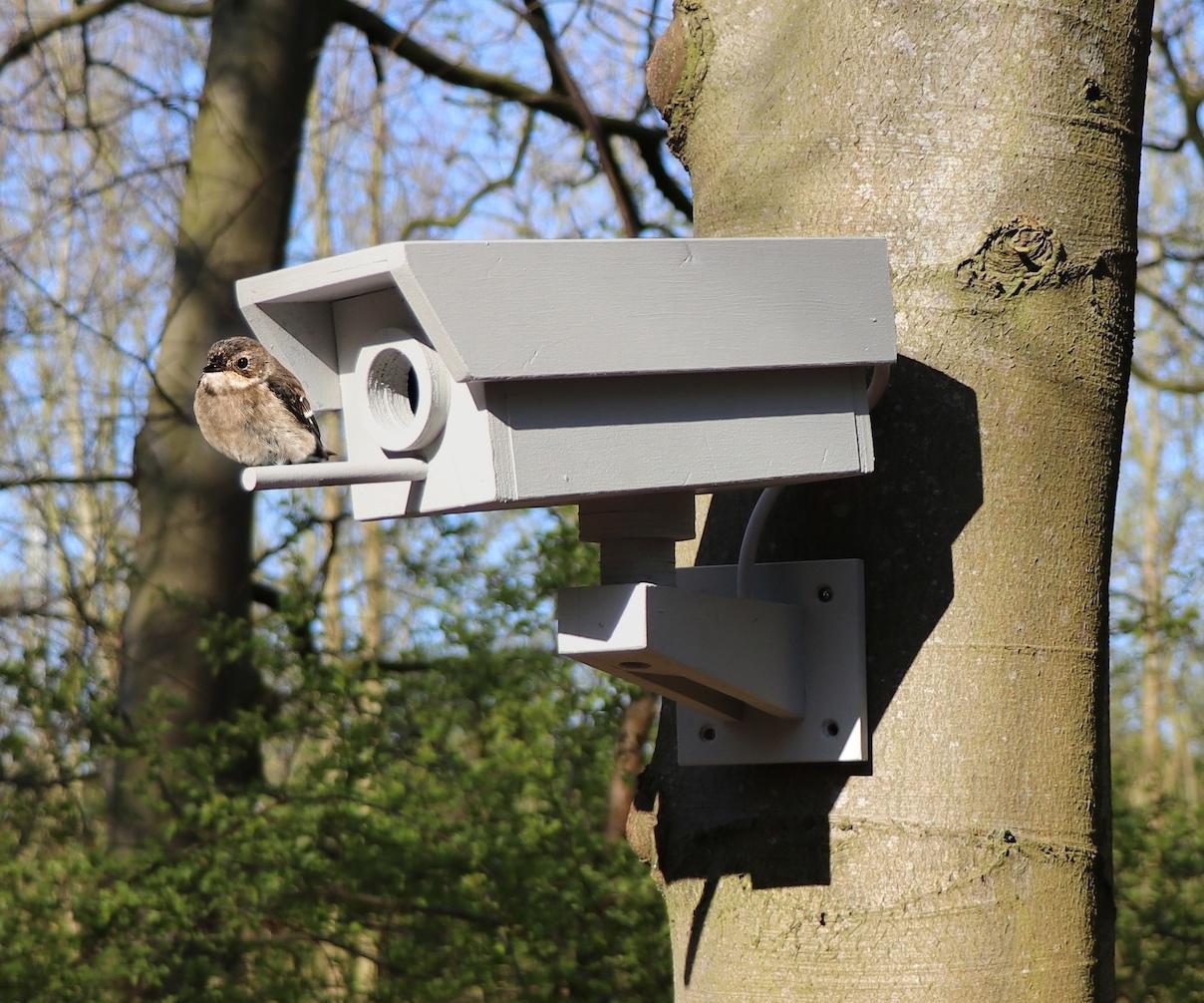 Fake Security Camera Birdhouse Made From Scrapwood