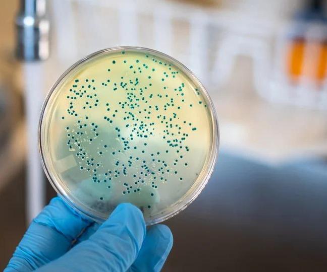 Narrow Spectrum Antibiotics and Its Effects on Microbes