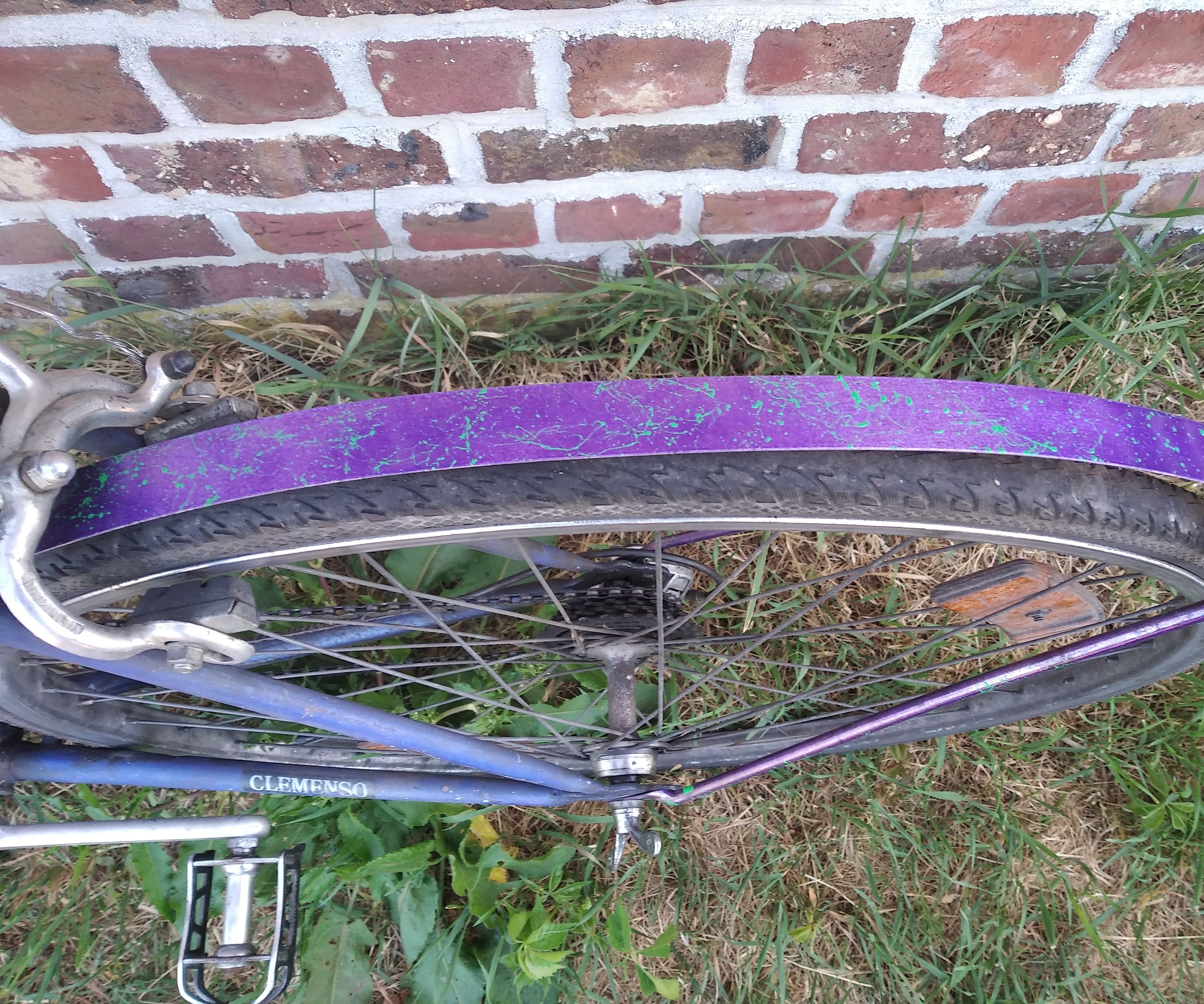 Decorated Bike Fender