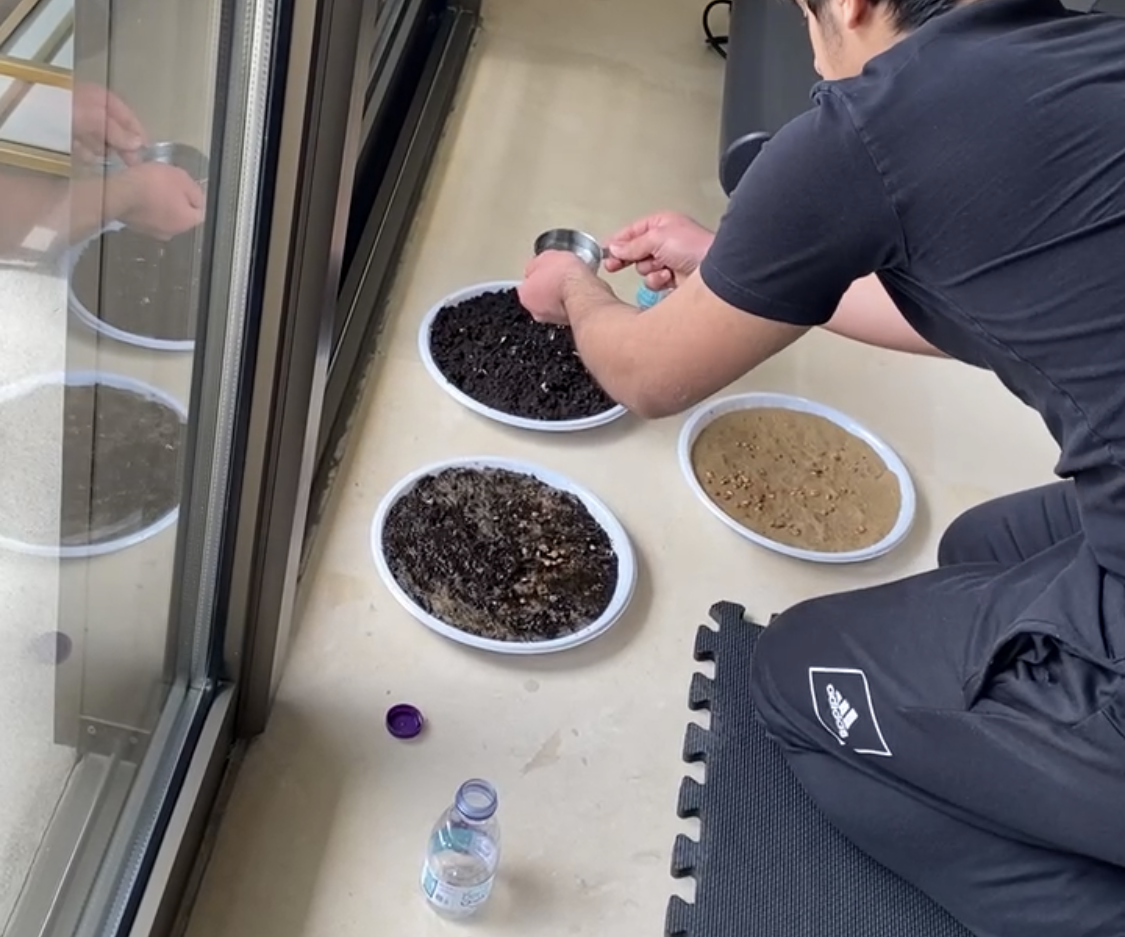 The Effect of Different Types of Soil on the Growth Rate of a Plant