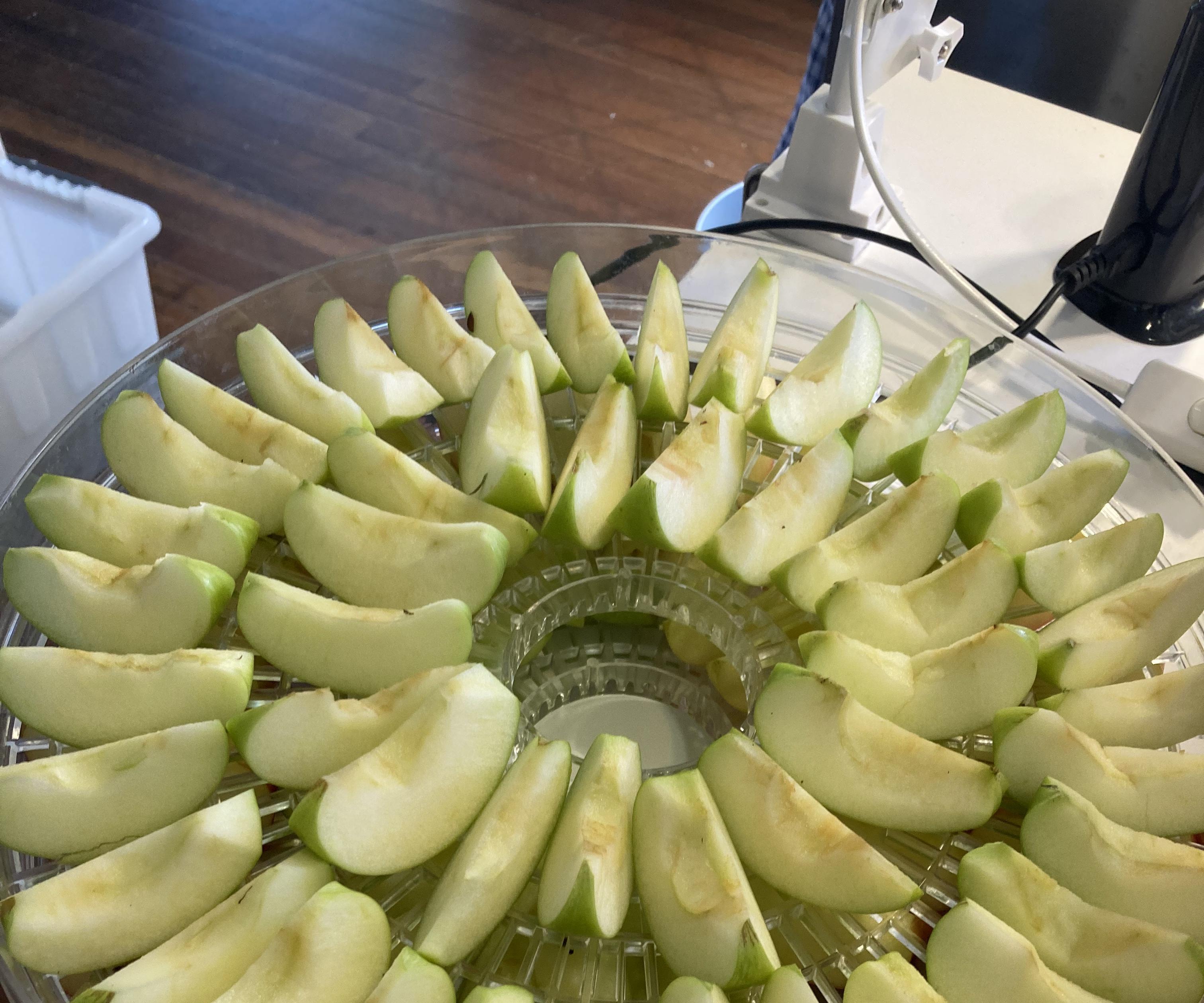 Fresh Dried Apple Slices