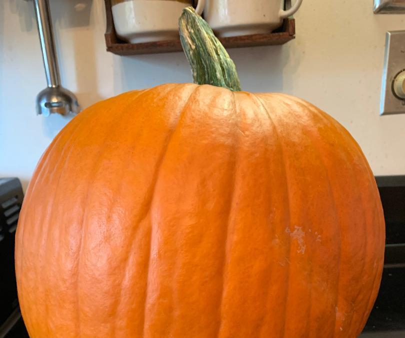 Let's Cook a Big Fresh Pumpkin!