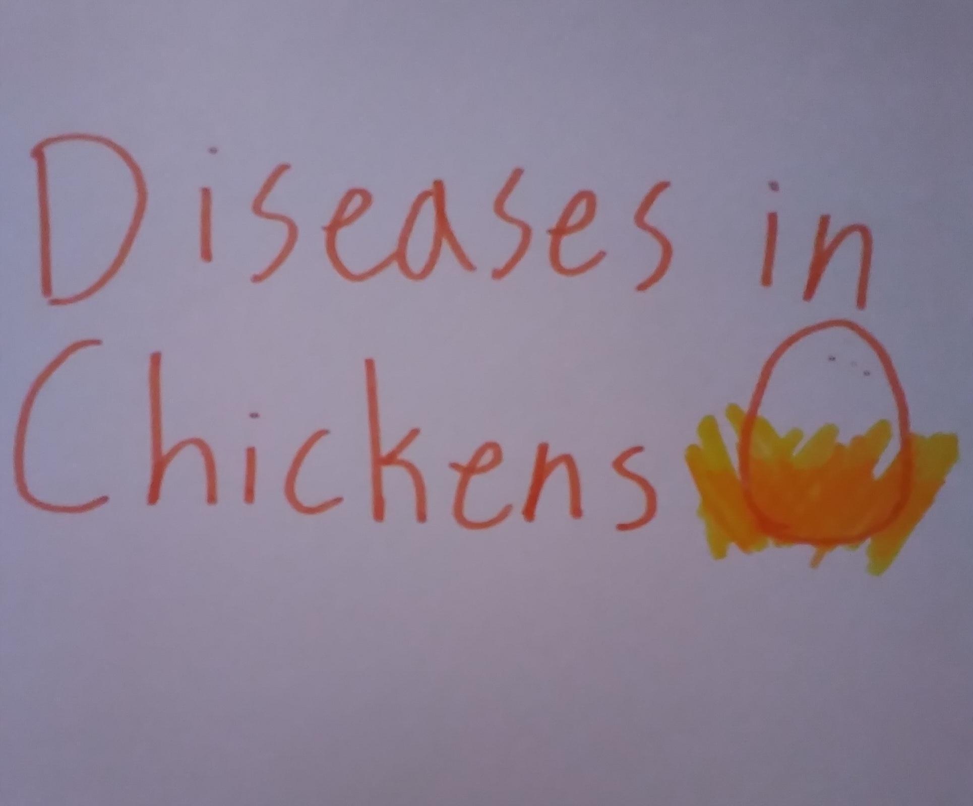 6 Common Diseases in Chickens