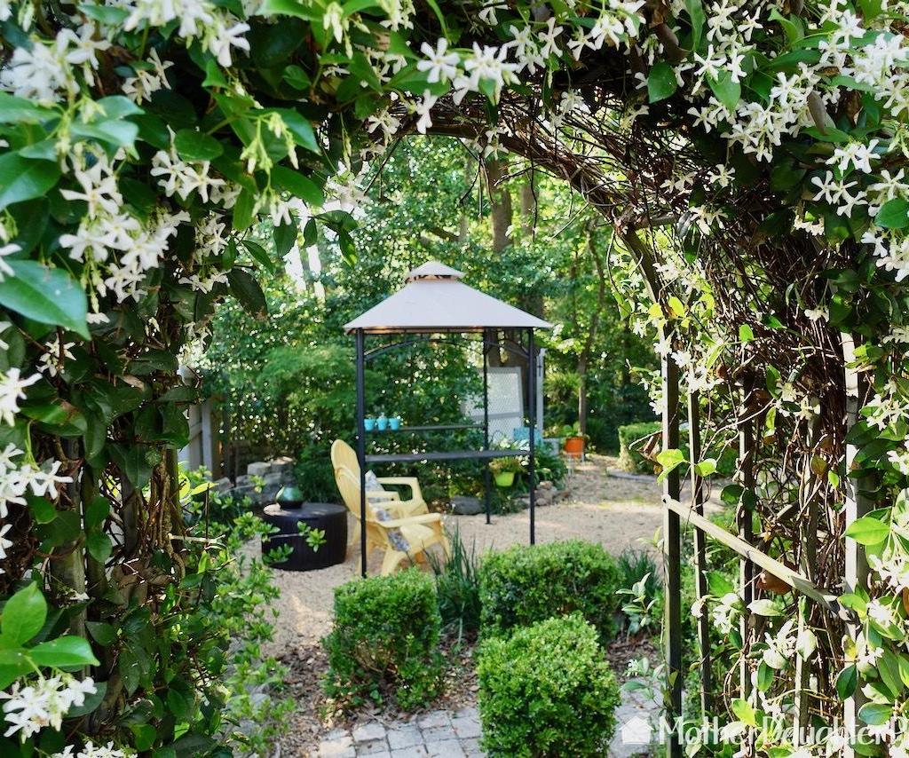 Run-down Neglected Pond to Relaxing Backyard Oasis