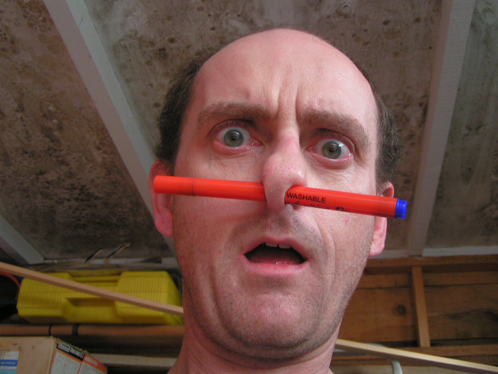 How to Painlessly Pierce Your Septum.