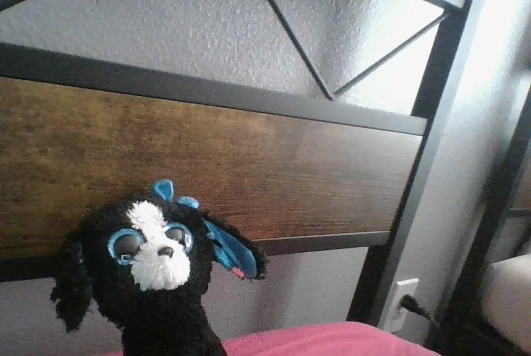 Beanie Boo Phones Please Make It and Show Me You Made It🥺