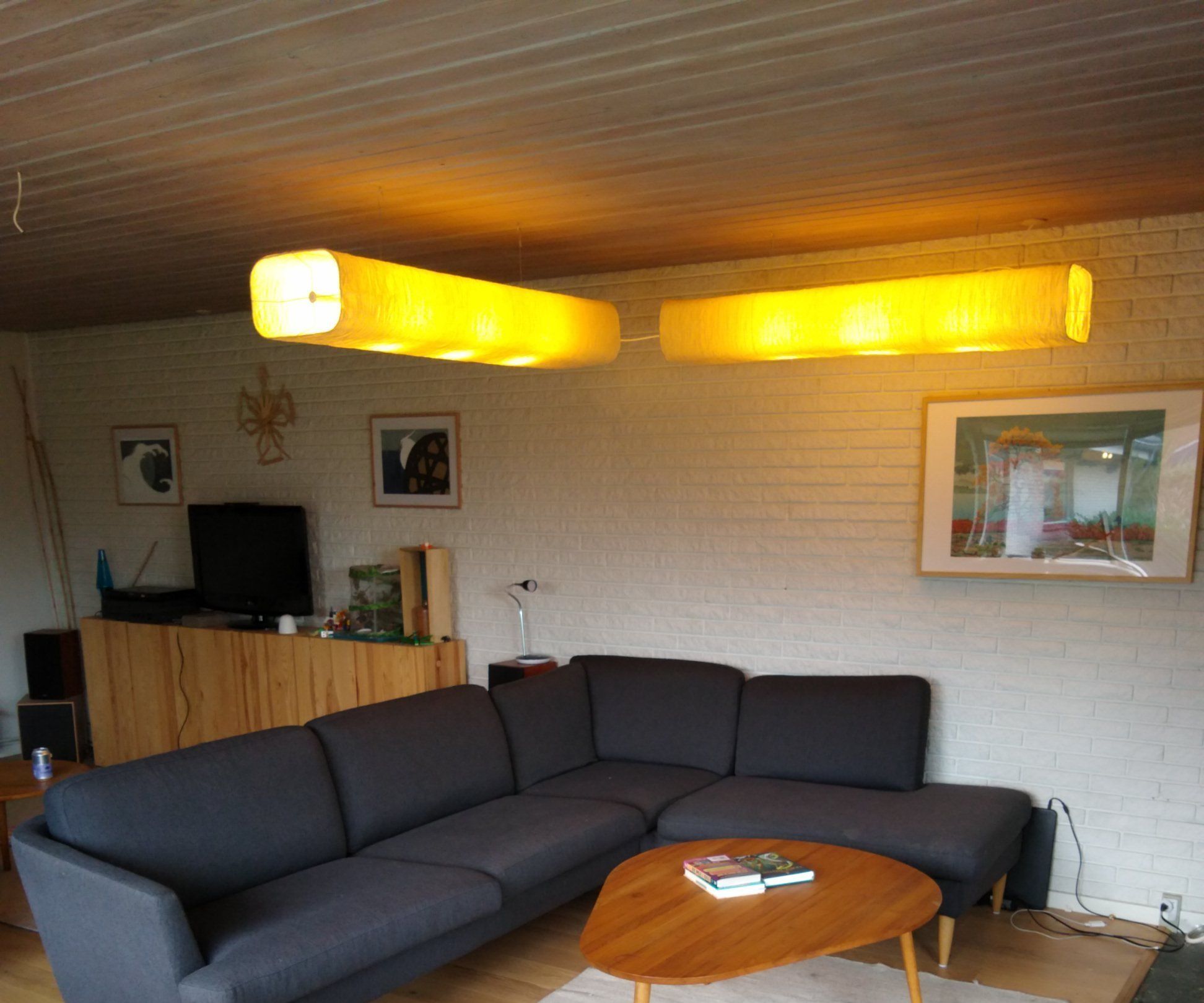 Ikea Magnarp Ceiling Lamp