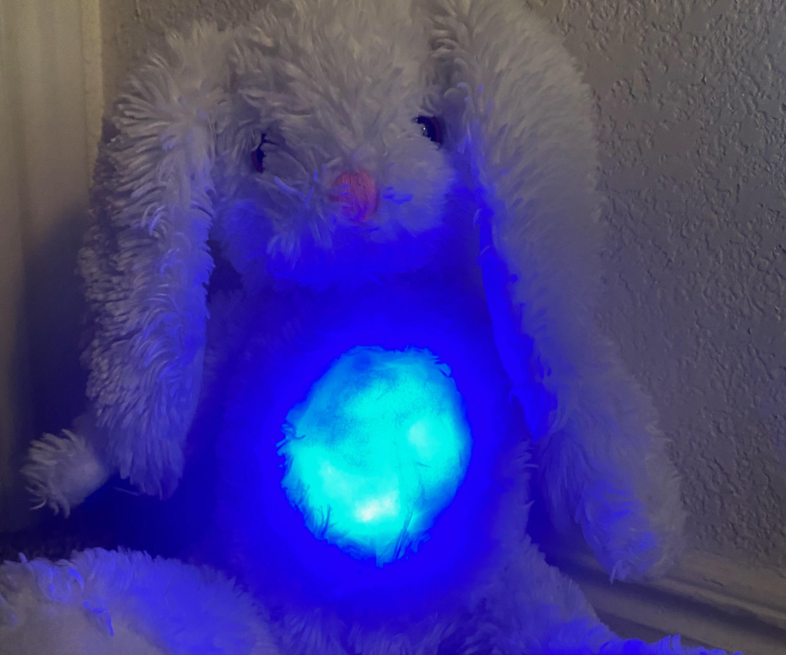 Nightlight Music Stuffed Animal