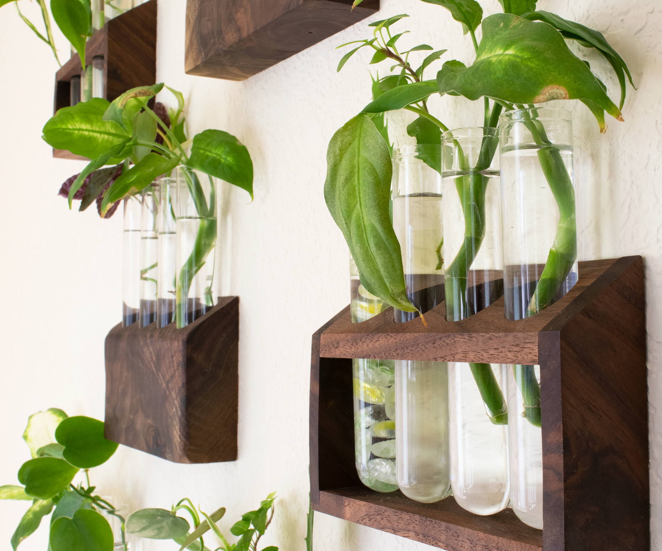 Propagation Station (3 Designs)