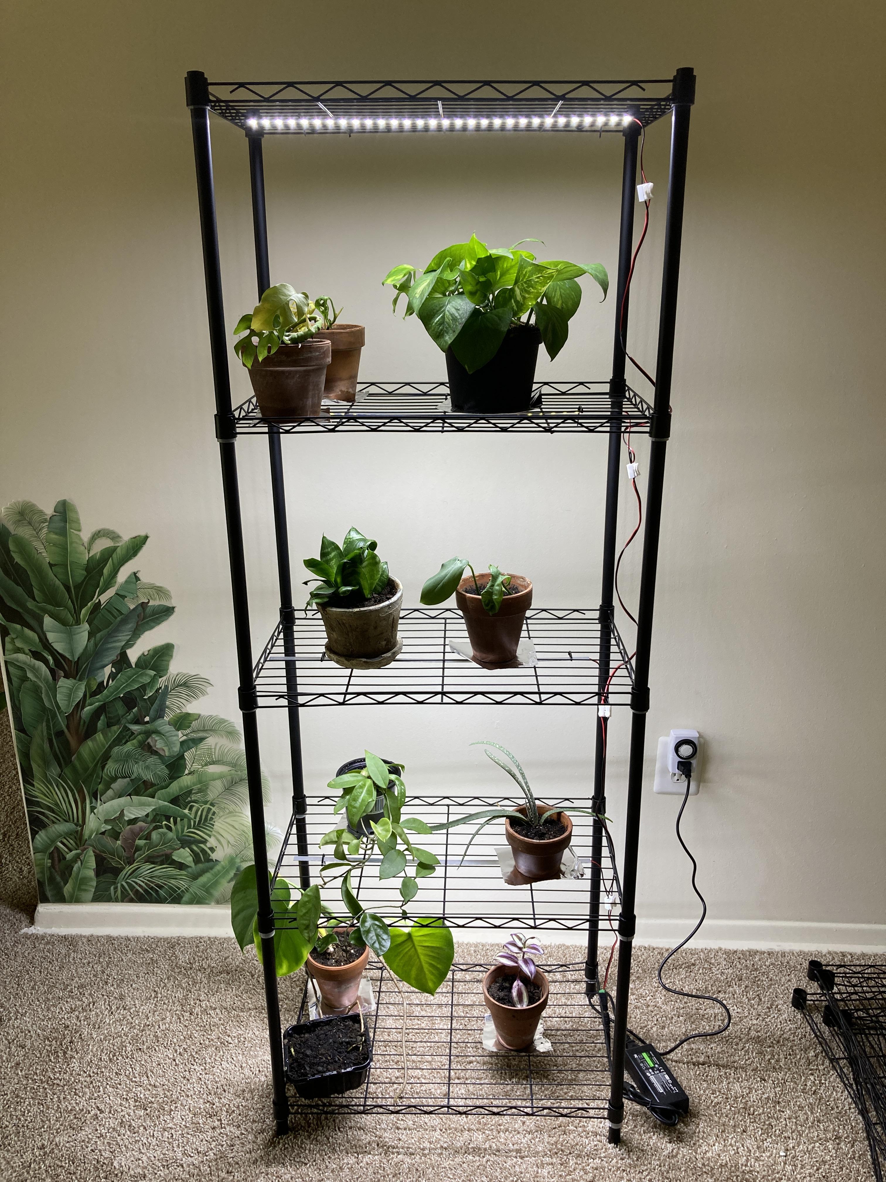 Under-Lit Rack for Growing Plants