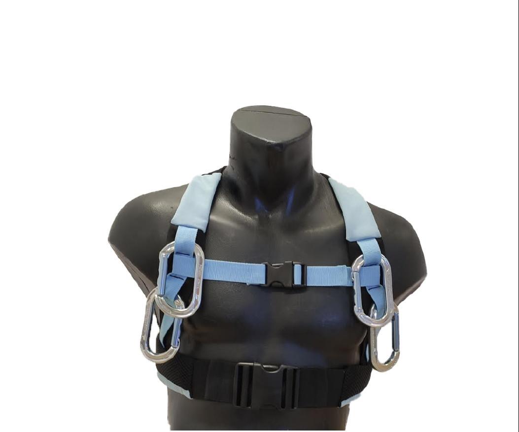 Harness for a Dog Walker