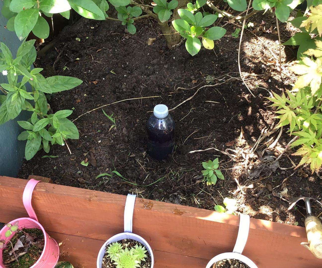 Really Easy Automatic Plant Waterer