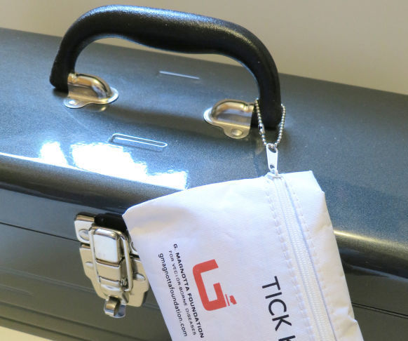 Weekend Getaway: Flea Market Survival Kit / Tick Kit