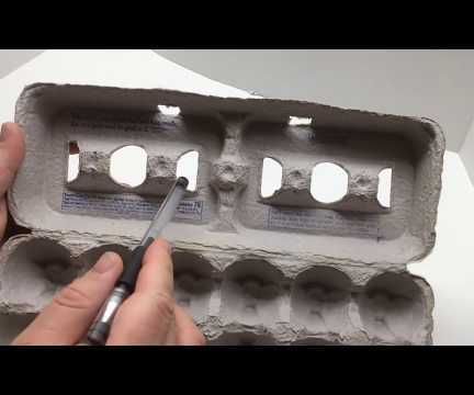 Start Seeds in an Egg Carton