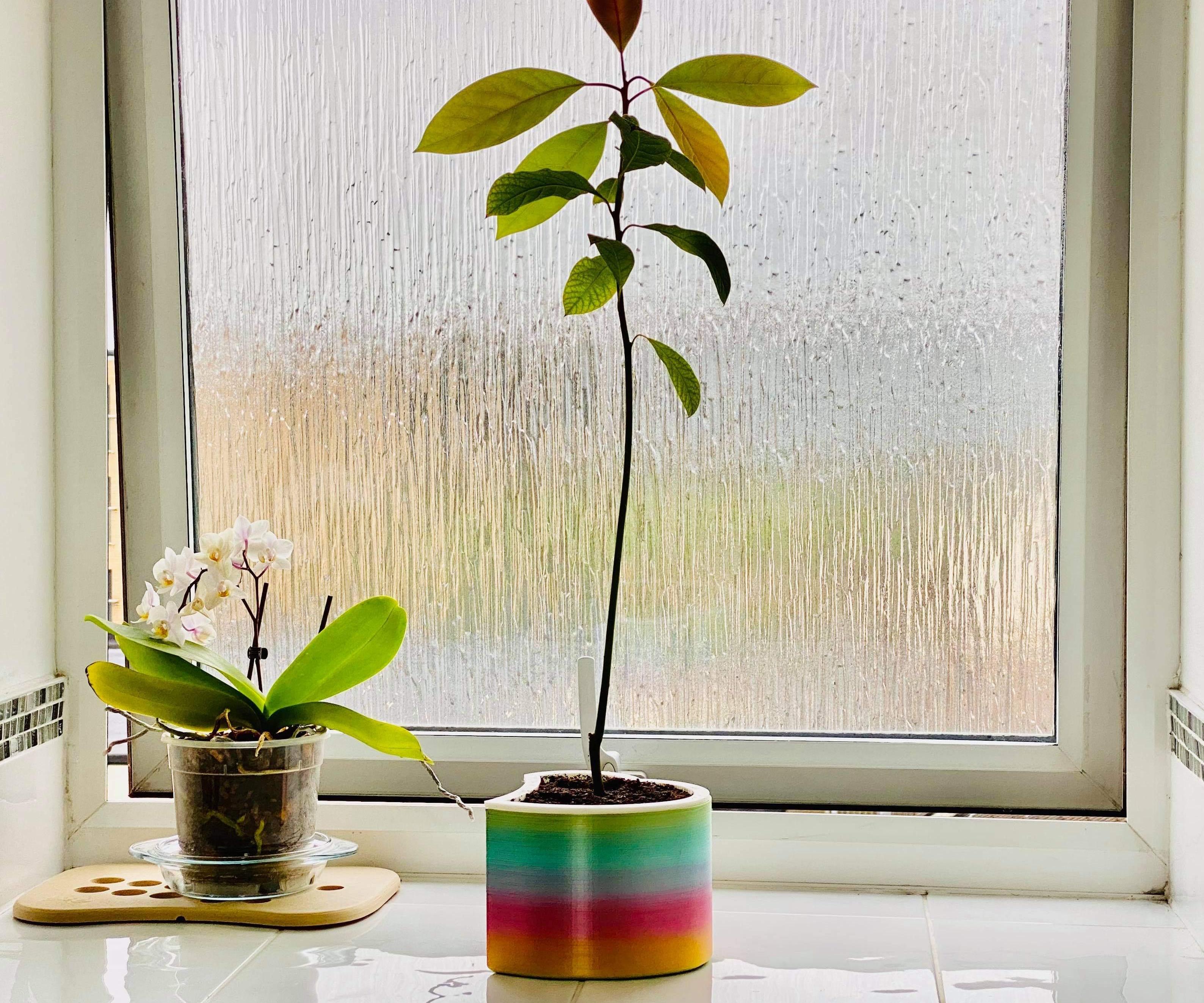 Rainbow Heart Self-Watering Pot
