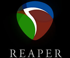 How to Use Plugins Within Reaper DAW (Digital Audio Workstation).