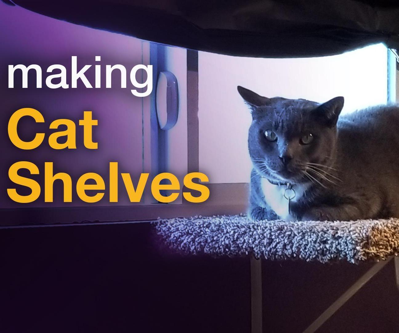 DIY Cat Shelves