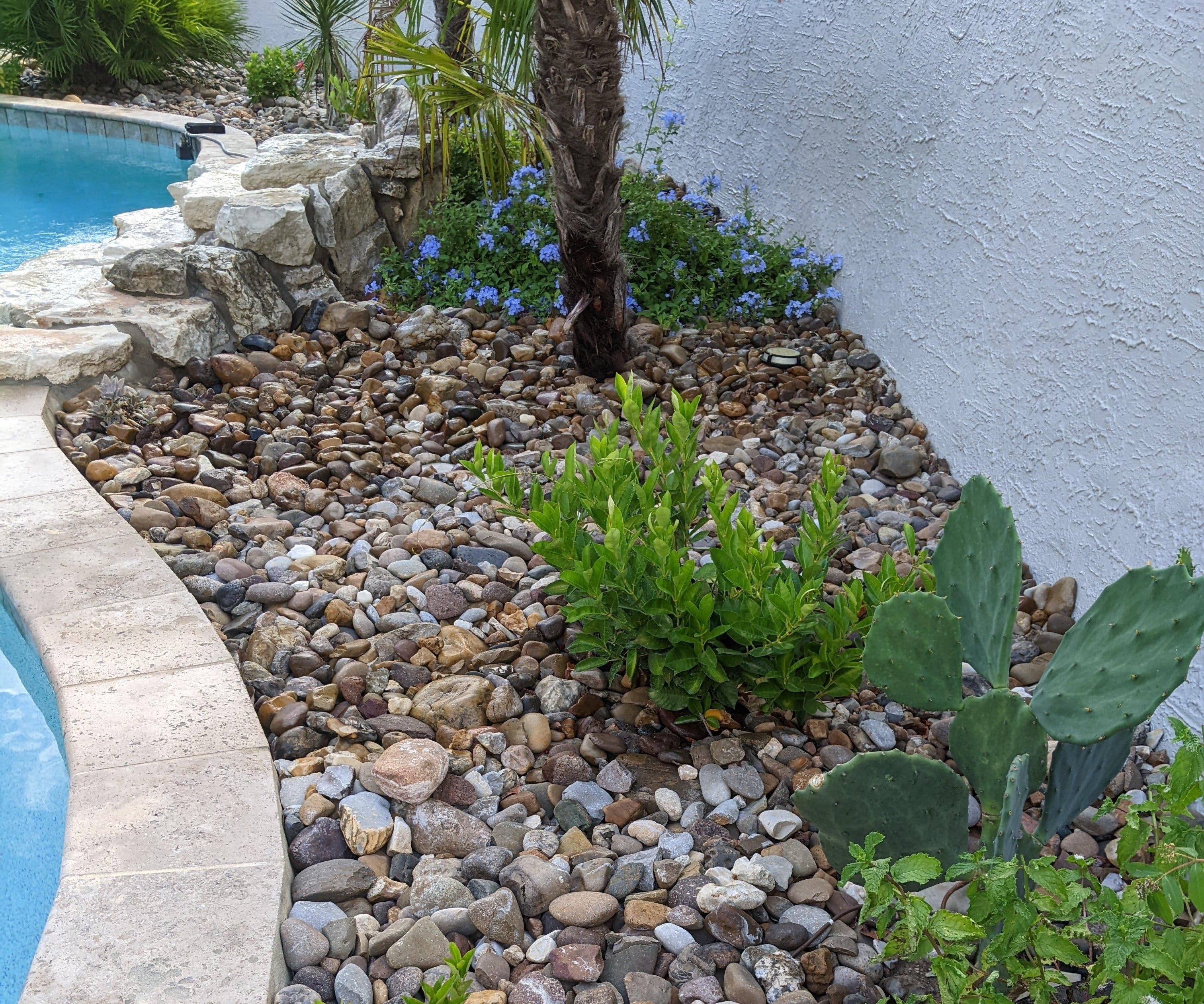 Drip Irrigation and How to Hide Your Manifolds: Bonus How to Find Your Drip Manifolds After Someone Hid Them