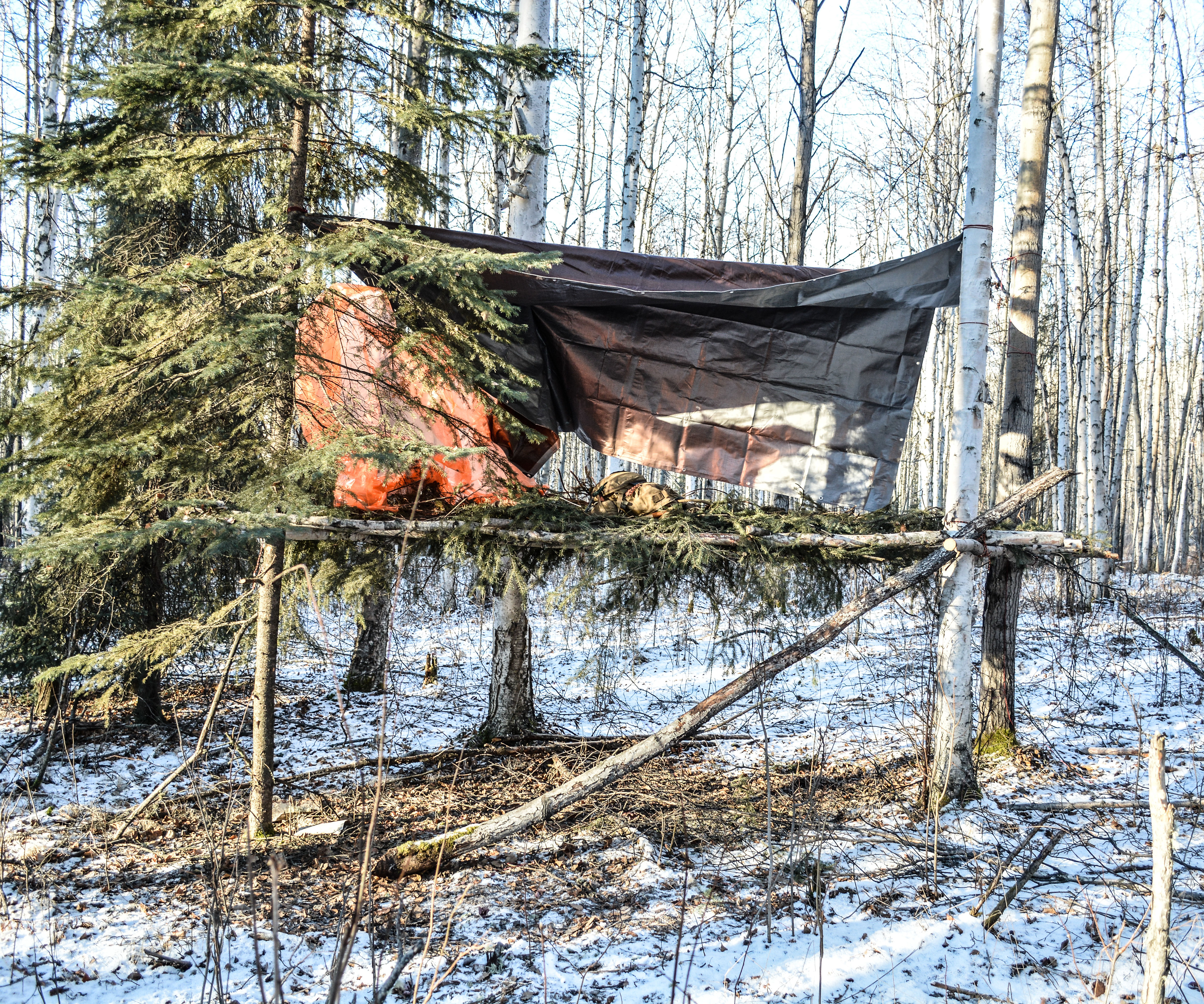 Building My Dream Shelter