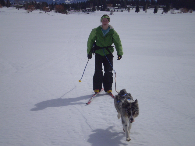 How to Ski Jour With Your Dog