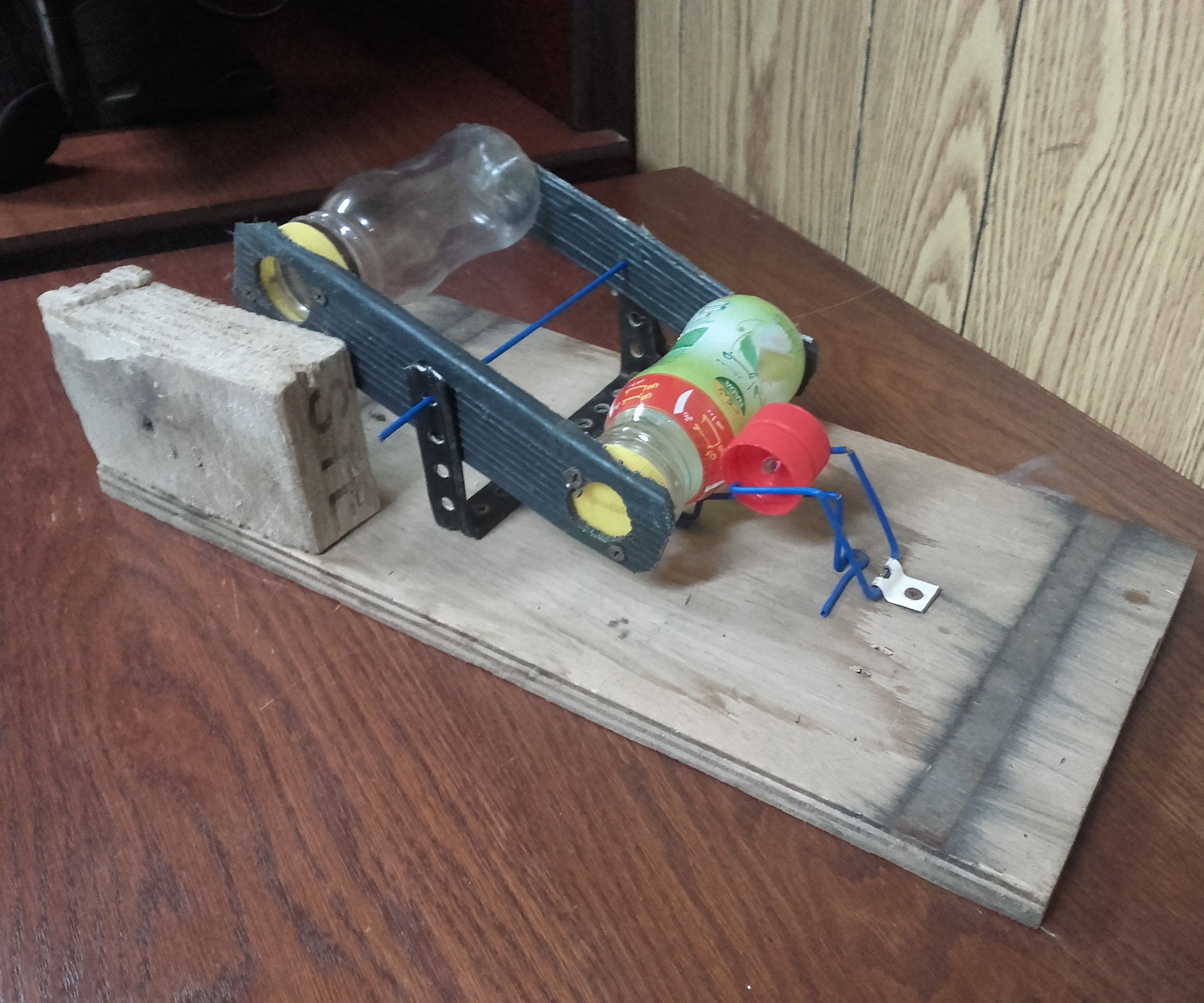 Non Lethal Homemade Mouse Trap