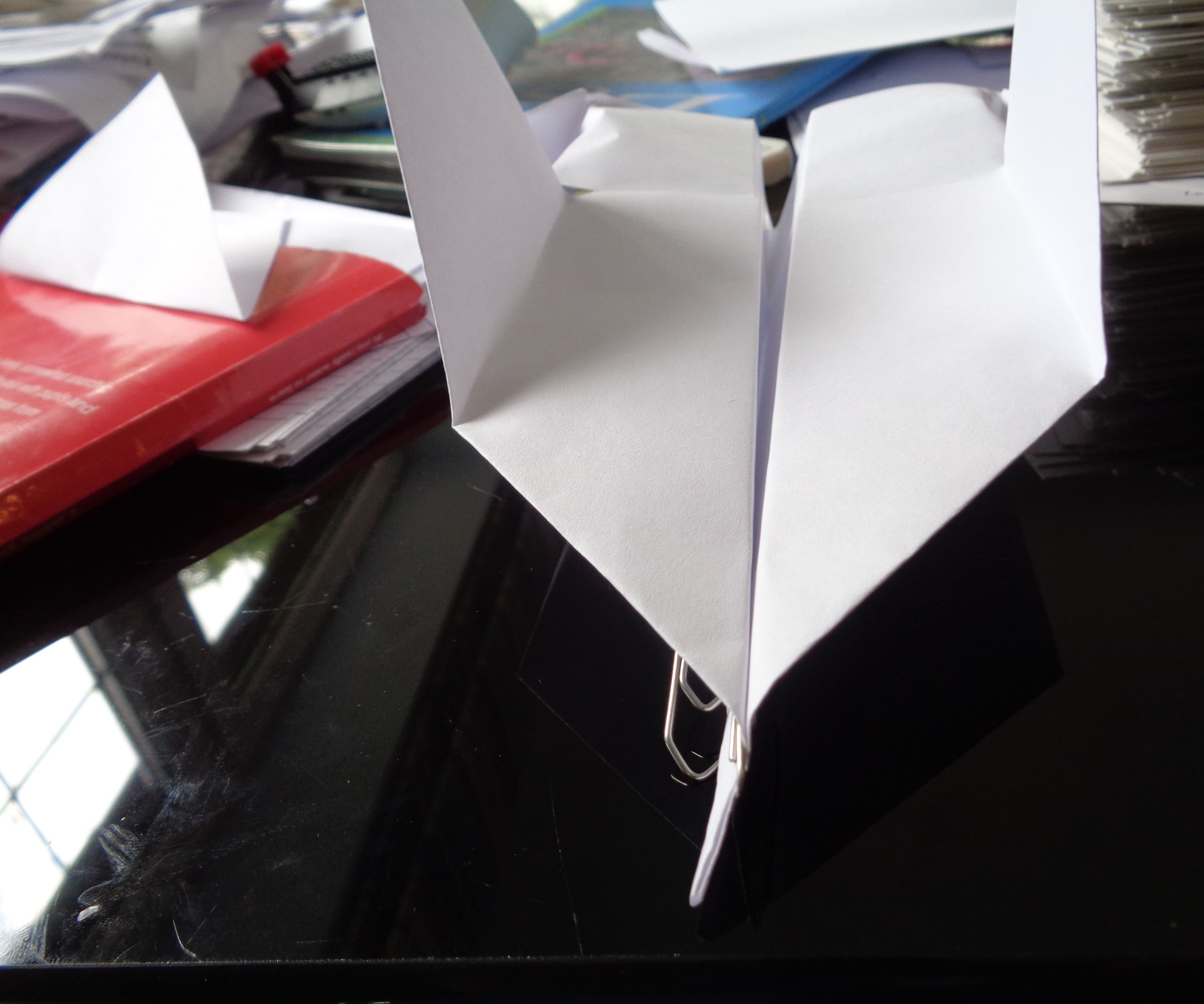 Paper Water Plane--a Boat and a Plane