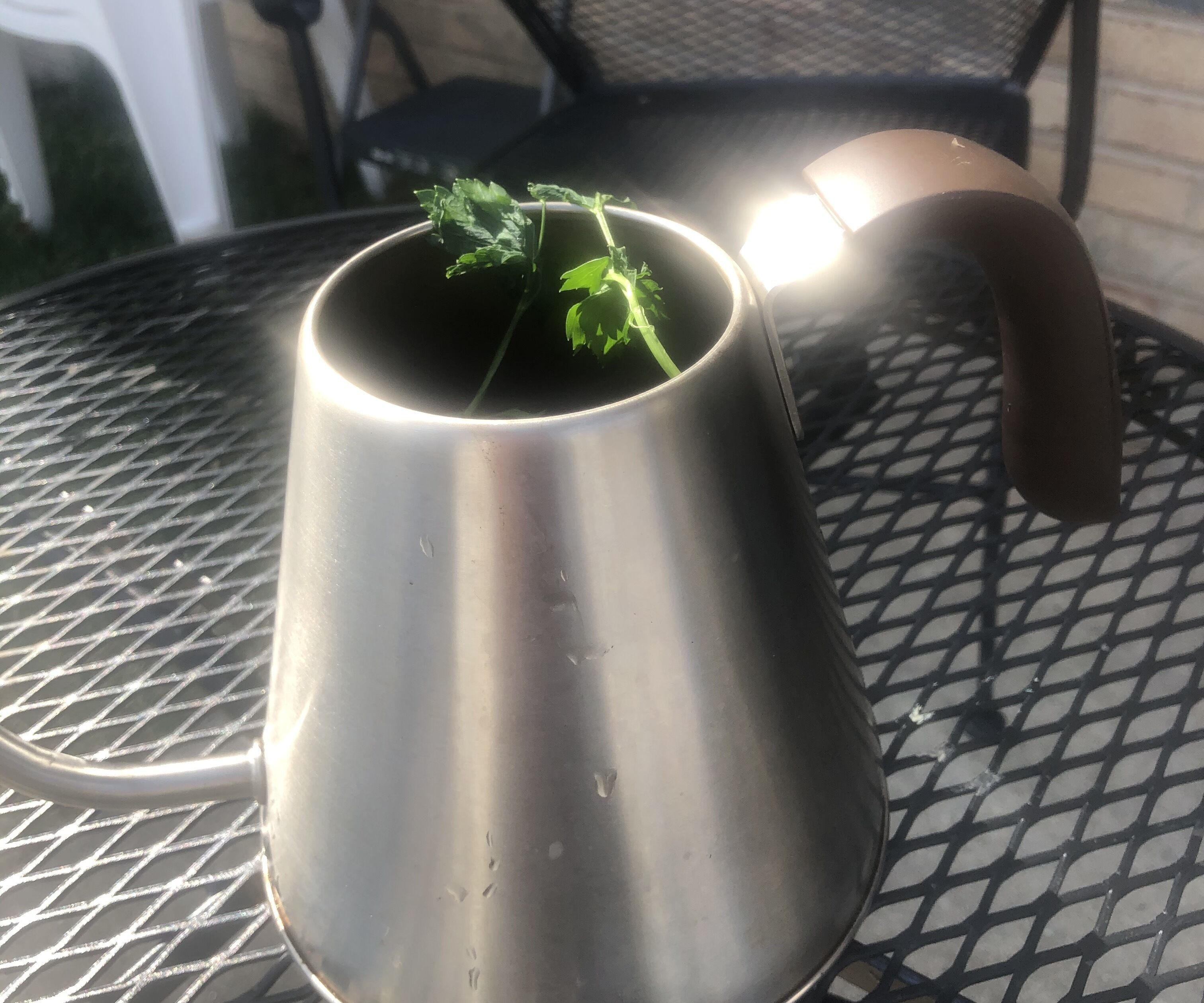 Upcycle Teapot Garden  