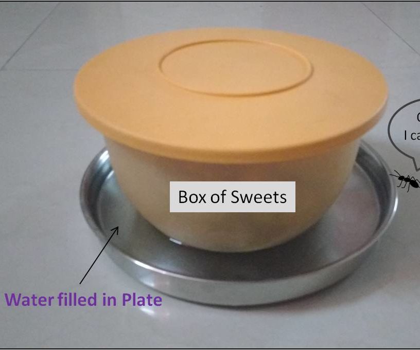 A Simple Technique to keep Ants away from your sweets