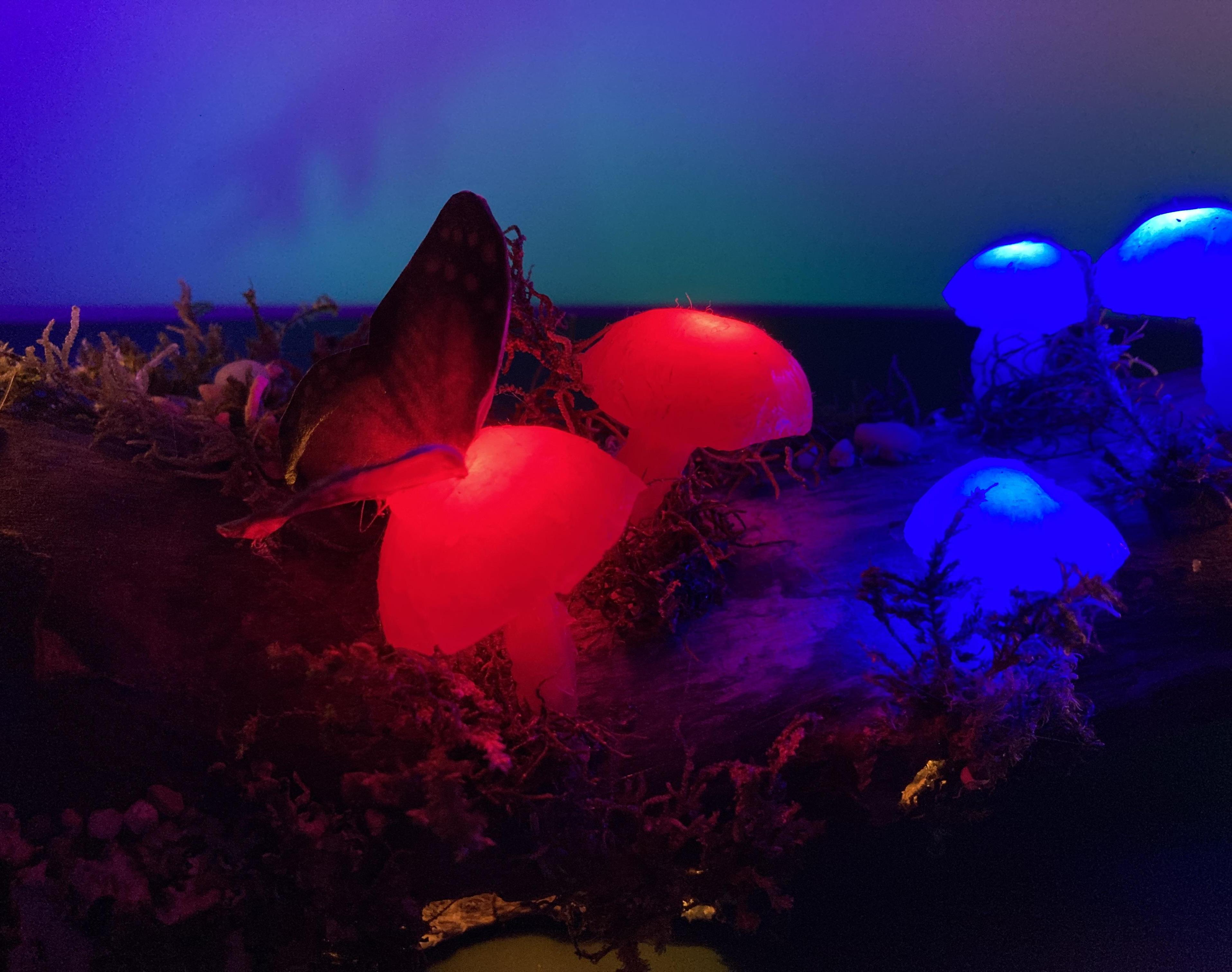 Glowing Mushrooms