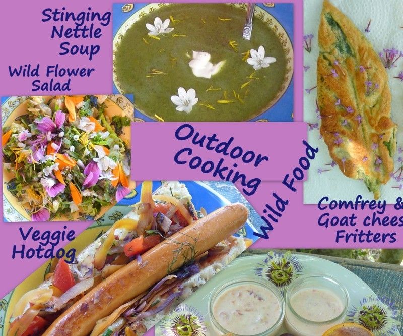 Wild Food Campfire Cooking