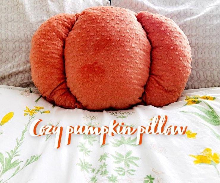 Comfy Pumpkin Pillow