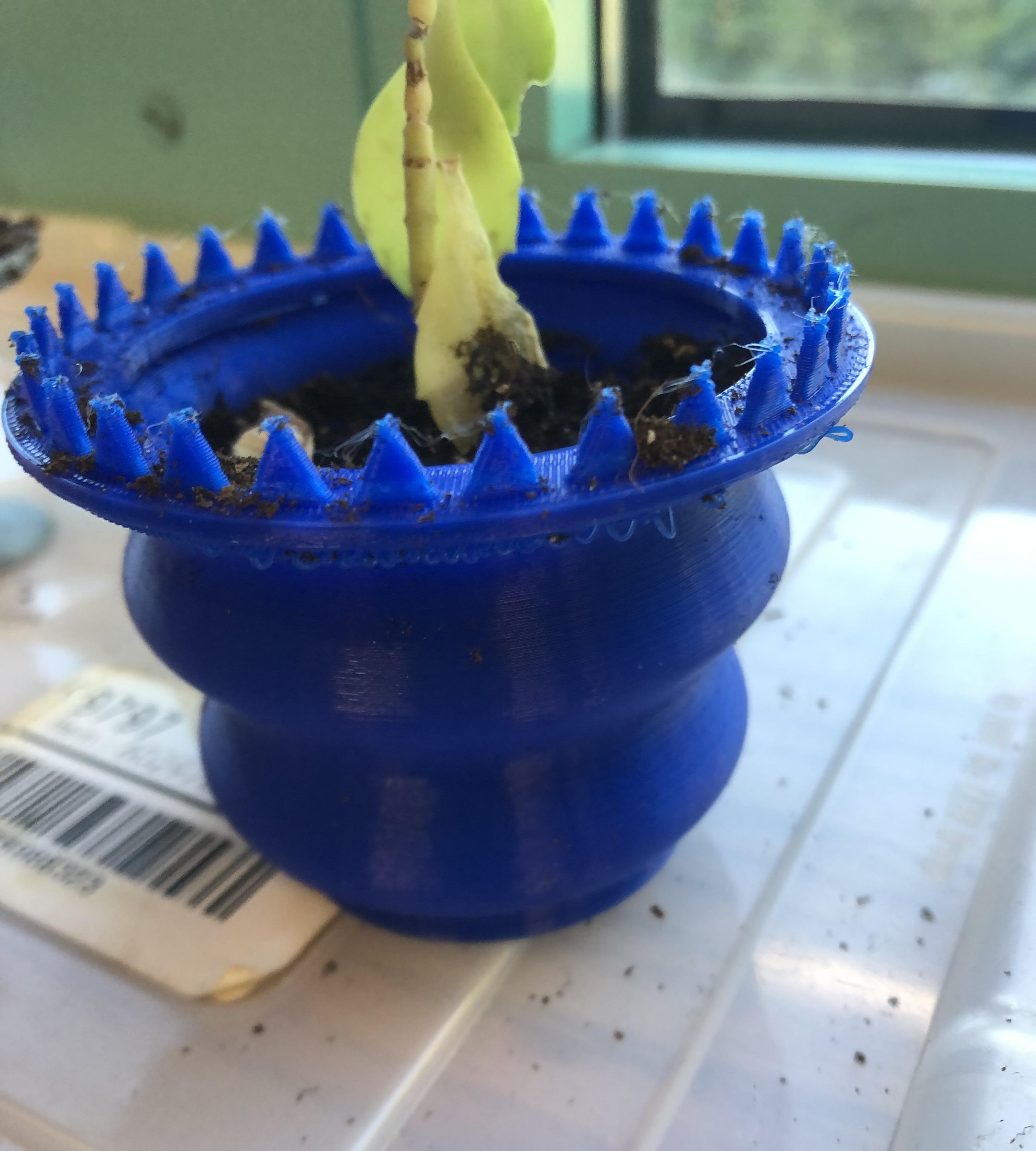 Colin's Alligator Planter Project