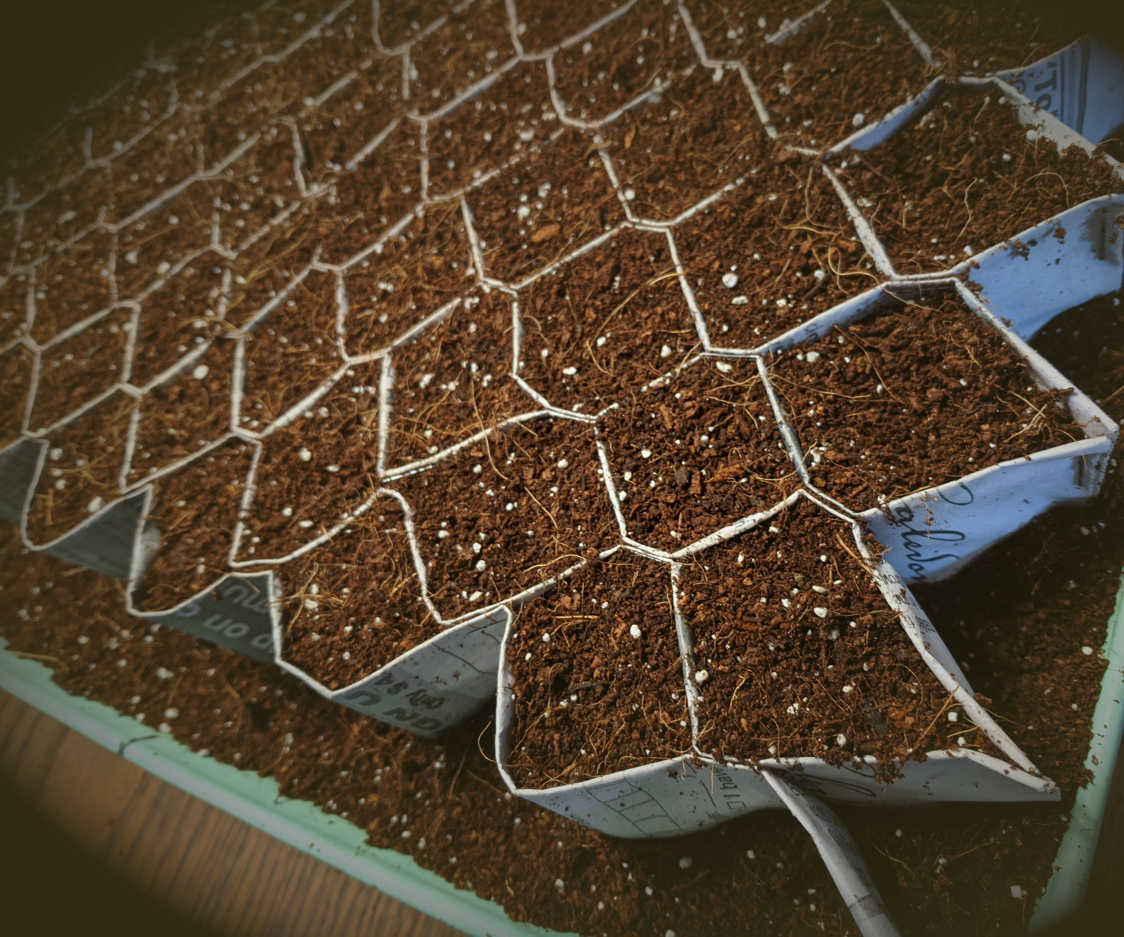 Seedling Tray Insert